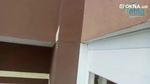 Остекление П-образного балкона Чабаны видео ™4ETAG Бр.13 👉 Остекление балкона окнами WDS видео 2023  Остекление П-образного балкона Чабаны видео ™4ETAG Бр.13 👉 Остекление балкона окнами WDS видео 2023