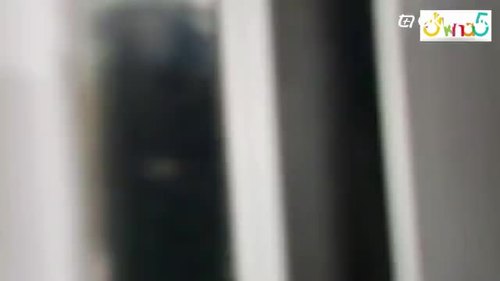 Пластиковые перегородки для офиса Киев видео ™ОКна5 Пластиковые перегородки для офиса Киев видео ™ОКна5