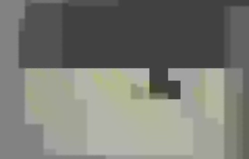 Гаражные ворота ALUTECH